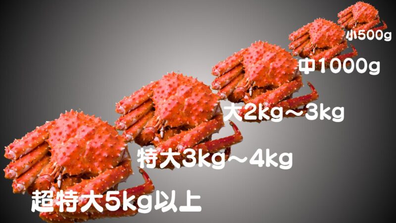 たらばがにサイズ表
超特大5kg以上
特大3kg~4kg
大2kg~3kg
中1000g
小500g