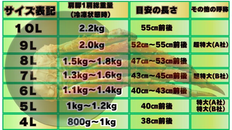 タバラガニのサイズ表