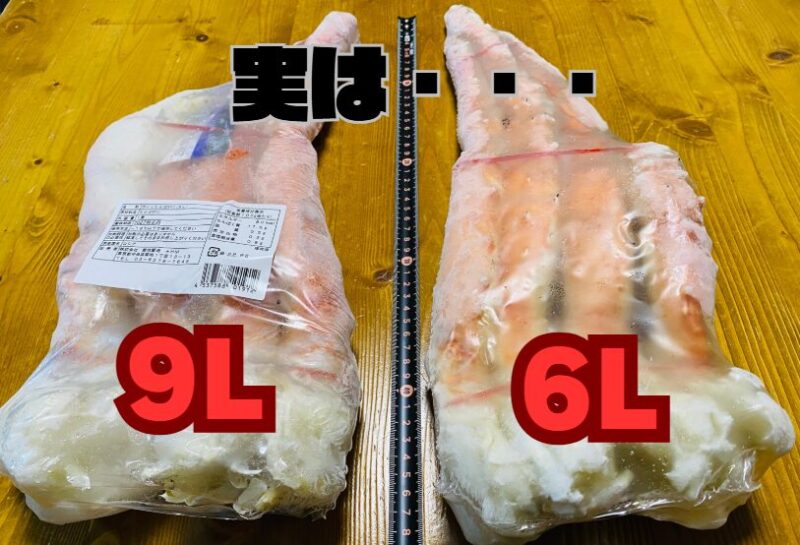 タバラガニ6Lと9Lの大きさの違い